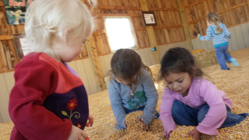 Jasmin and Beth playing in a giant sandbox full of corn at Stokoe Farm