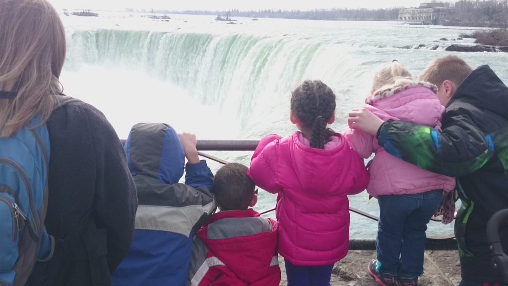 Checking out the Horseshoe Falls